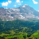 Auf Dem Vogelstein-2 By Interhome Appartement Grindelwald