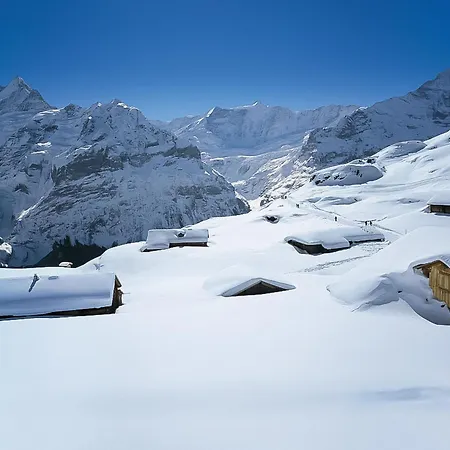 Apartment Auf Dem Vogelstein-2 By Interhome Grindelwald