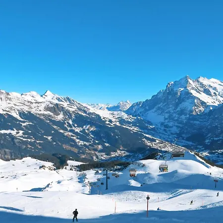 Auf Dem Vogelstein-2 By Interhome * Grindelwald