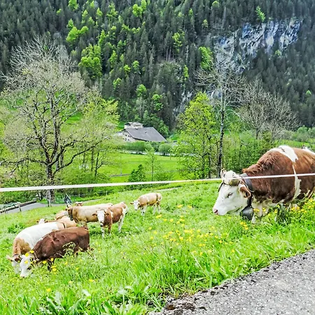 Daire Auf Dem Vogelstein-2 By Interhome