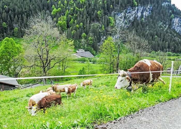 Daire Auf Dem Vogelstein-2 By Interhome